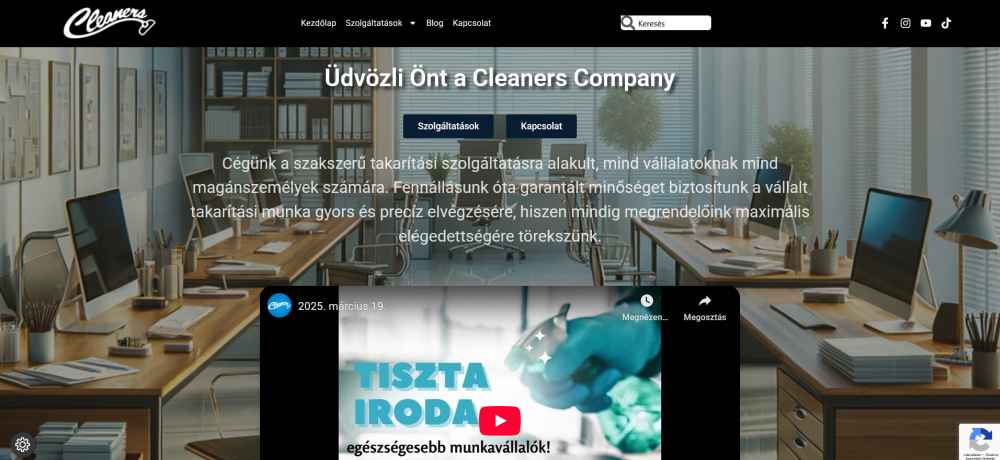 Cleaners Company